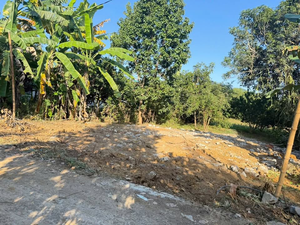 Lô đất Ngọc Mỹ, Tân Lạc 273,9m² giá thỏa thuận - Đầu tư sinh lời ngay!