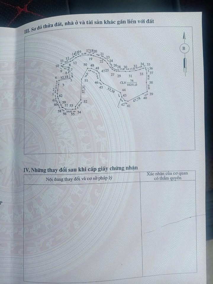 Đất nền 20.000m² tại Yên Lập, Phú Thọ - Cơ hội đầu tư hấp dẫn!