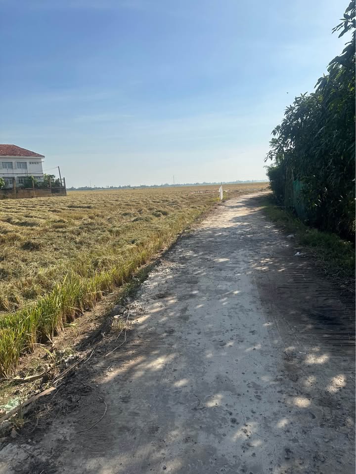 Đất mặt tiền Phường Tân Châu, An Giang 7600m² giá 2.128 tỷ - Vị trí đẹp, thuận tiện!