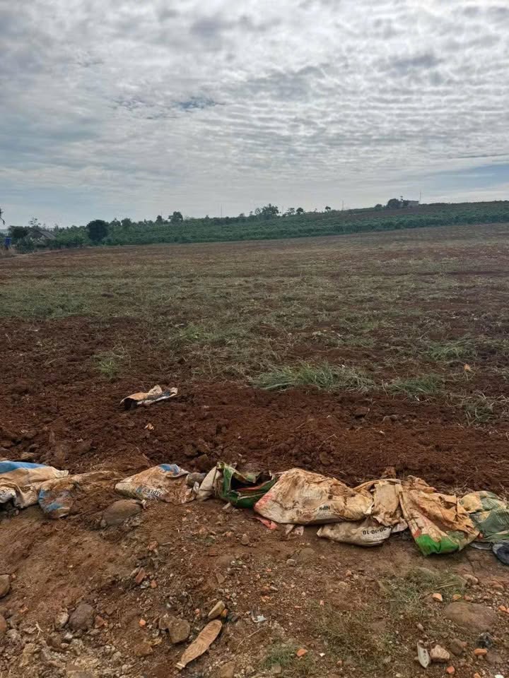 Đất nông nghiệp Phúc Thọ 20.000m² giá 2.75 tỷ - Cách đường nhựa chỉ 200m!