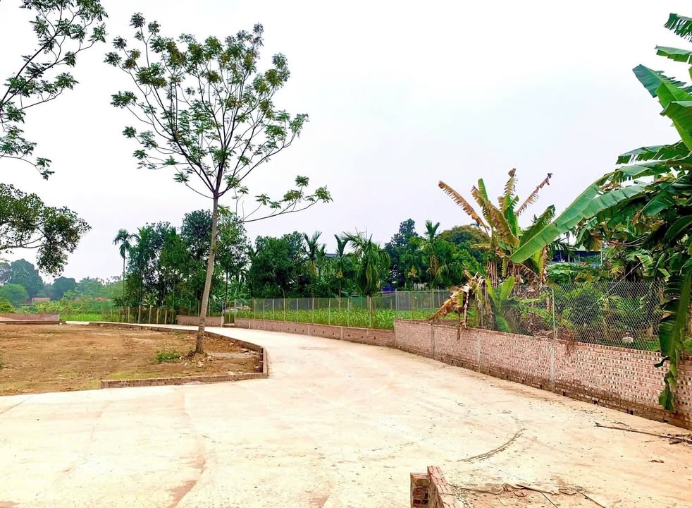 Đất Dân Lập Yên Bình Thạch Thất 474m² giá chỉ 1x triệu/m² - Đầu tư sinh lời ngay!