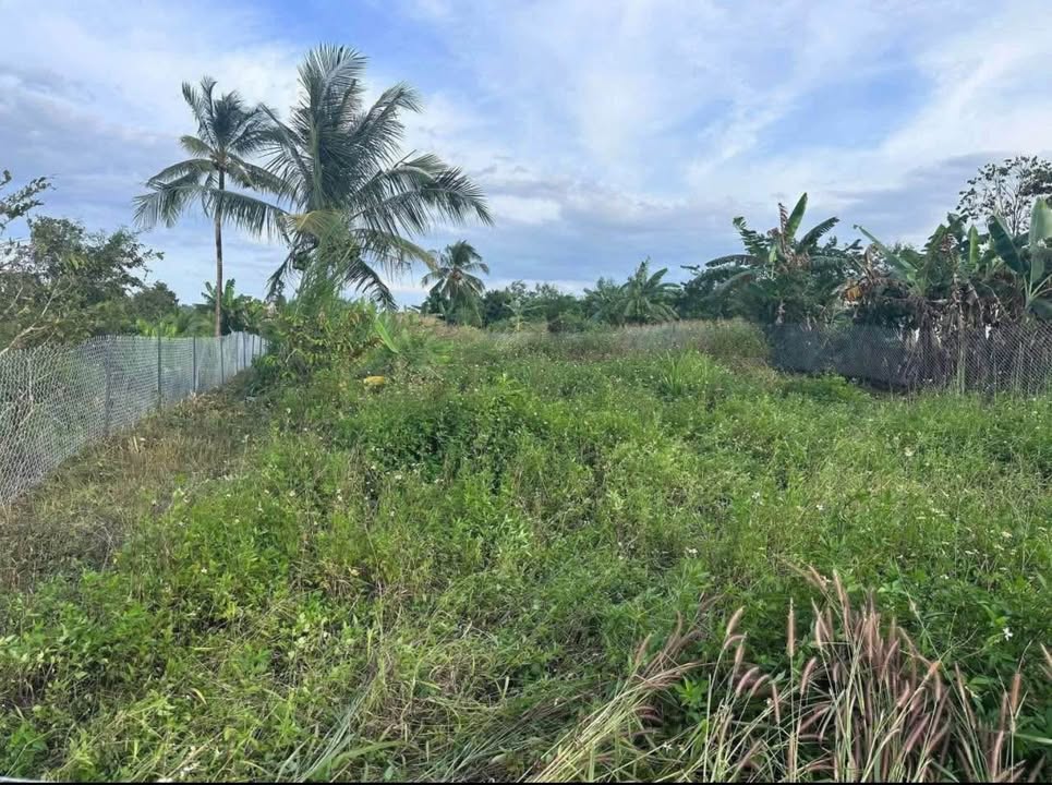 Đất nền Phú Thịnh, Định Quán 1000m² giá chỉ 320 triệu - Sổ hồng chính chủ!