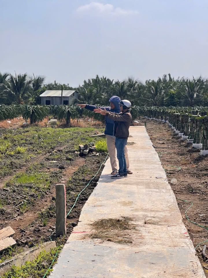 Mảnh vườn 680m² xã Thanh Phú Long giá chỉ 200 triệu - Cơ hội vàng cho gia đình bạn!