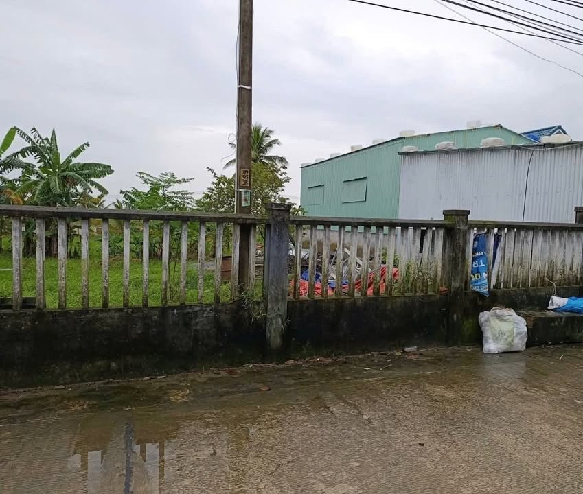 Đất nền Hòa Tiến, Hòa Vang 196m² giá 1.4 tỷ - Sổ đỏ chính chủ, vị trí đắc địa!