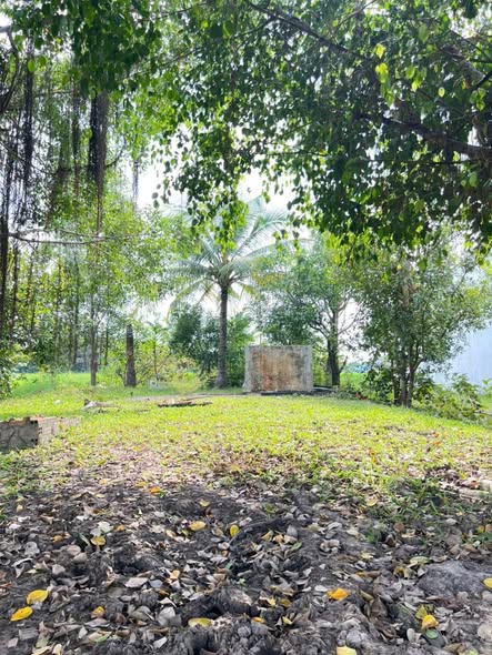 Đất nền Hòa Khánh Đông, Đức Hòa, Long An 195m² giá 1.35 tỷ - Đầu tư sinh lời ngay!