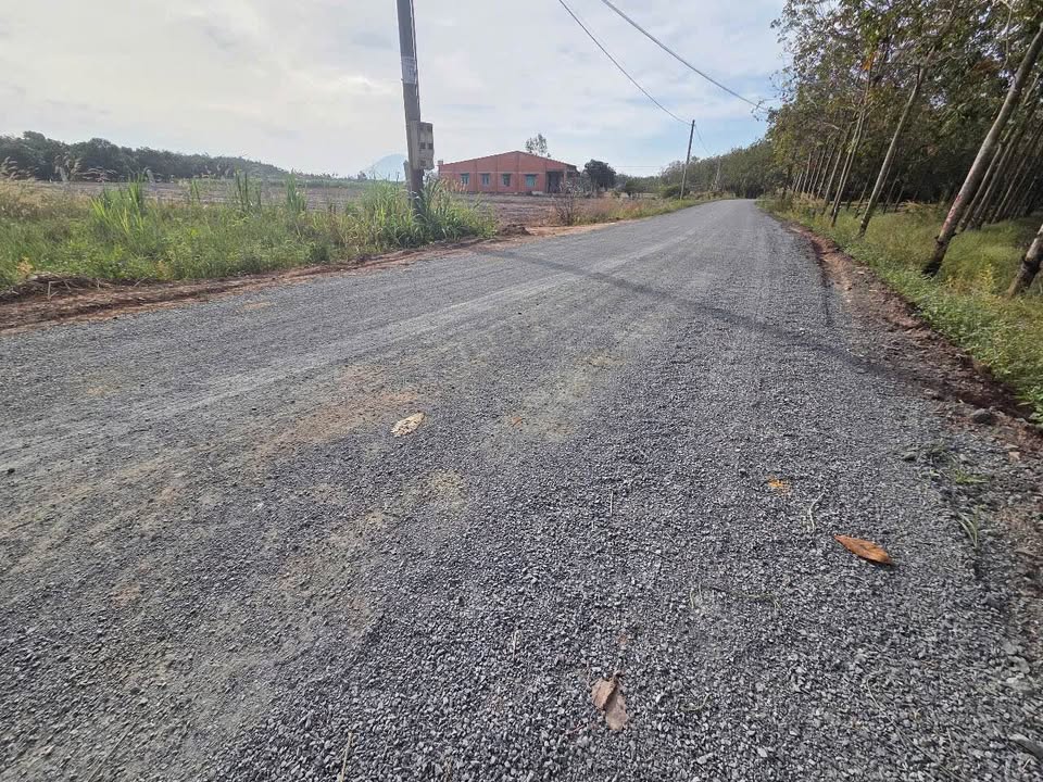 Đất thổ cư xã Thạnh Bình, Tân Biên, Tây Ninh 172.06m² giá chỉ 100 triệu - Cơ hội đầu tư tuyệt vời!