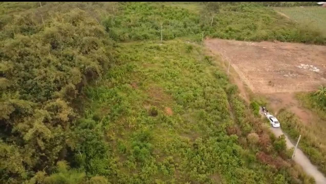 Đất Farm cho thuê Phú Túc 20.000m² giá 80 triệu/năm - Đường bê tông thuận tiện!