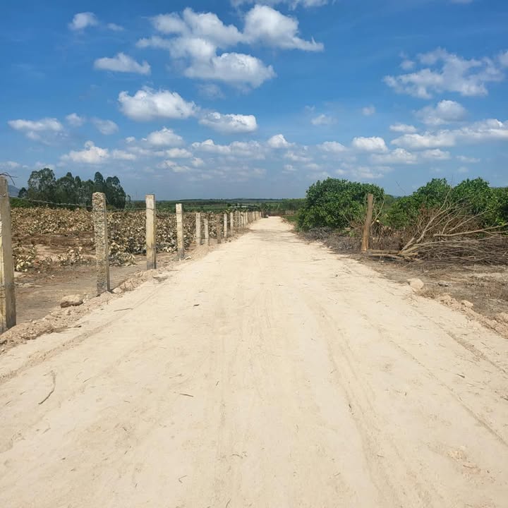 Đất nền Tân Phúc, Hàm Tân 5335m² giá 4.5 tỷ - Đầu tư sinh lời ngay!