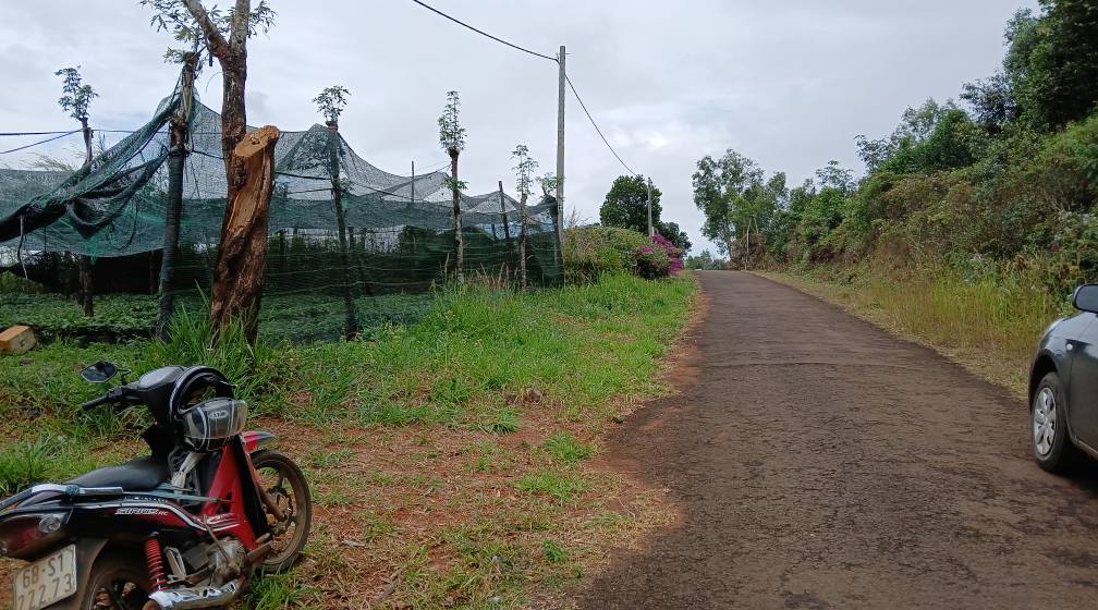 Đất mặt tiền 50x50m Tuy Đức 75 tỷ - Sổ đỏ chính chủ, đầu tư sinh lời