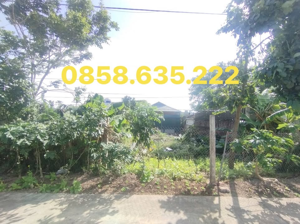 Đất Mặt Đê Khánh Hội 112m² giá 1 tỷ - Đường thoáng mát, giao thông thuận lợi!