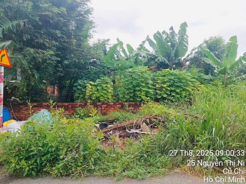 Đất nền Tân Thạnh Tây, Củ Chi 560m² giá 3 tỷ - Đầu tư sinh lời ngay!