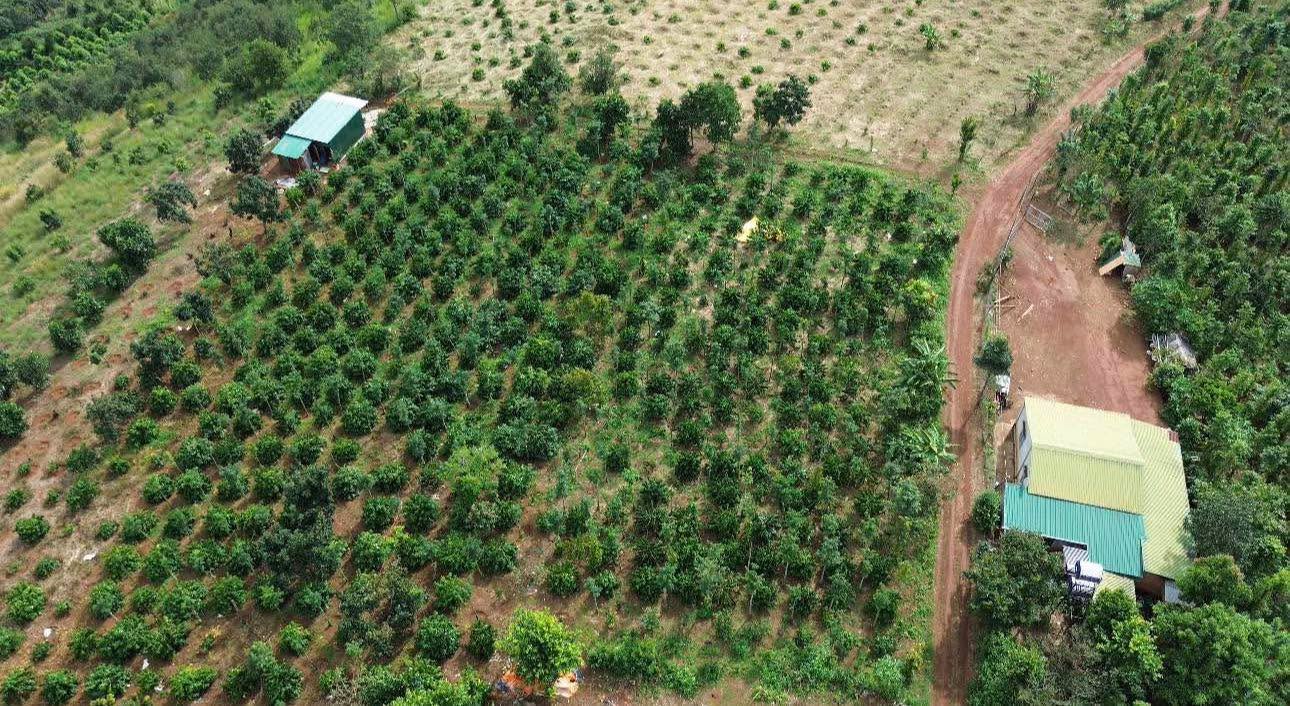 Đất nông nghiệp Trường Xuân 5400m² - Giá thỏa thuận, gần QL14, oto vào tận nơi!