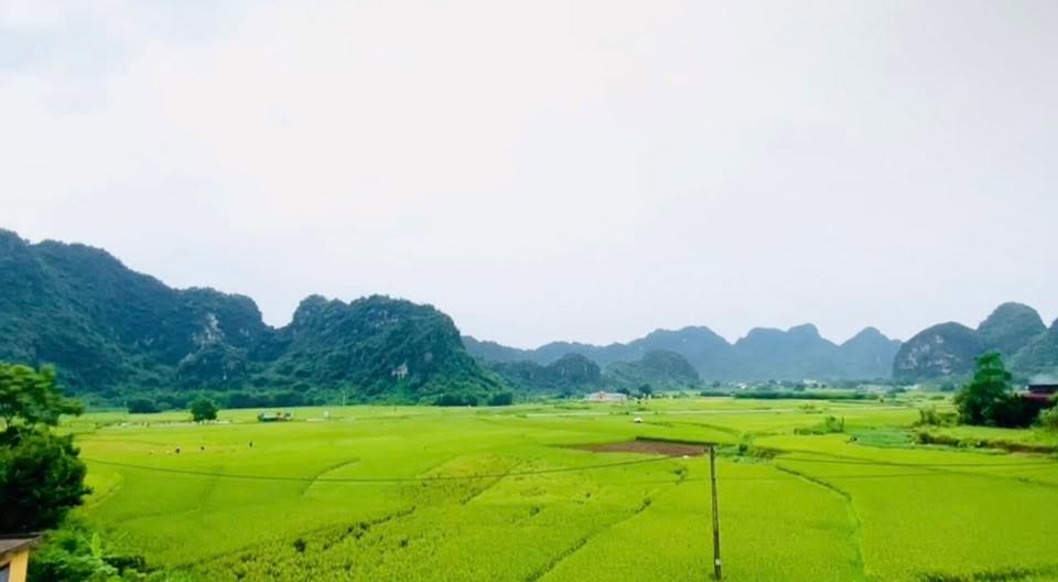 Bán lô đất nghỉ dưỡng Lạc Lương, Yên Thủy 5000m² giá chỉ 3 tỷ - Không gian sống lý tưởng!