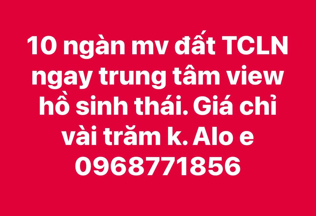 Đất nông nghiệp đẹp tại xã Bình Điền, Huế 9945m² giá 1 tỷ - Đầu tư sinh lời tiềm năng!