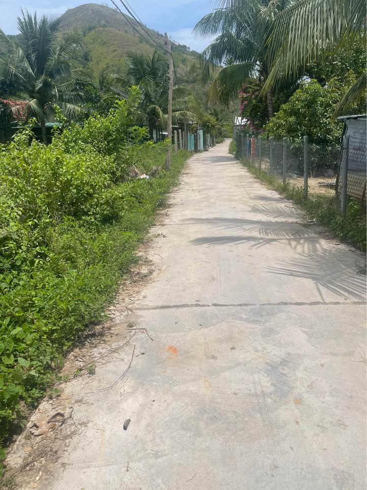 Đất nền Vạn Hưng Khánh Hòa 1.8ha giá 2.7 tỷ - Đường bê tông ô tô thông thoáng!