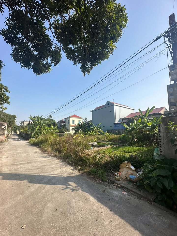 Đất nền Đoàn Đào, Phù Cừ, Hưng Yên 61.6m² giá chỉ 800 triệu - Đầu tư sinh lời ngay!