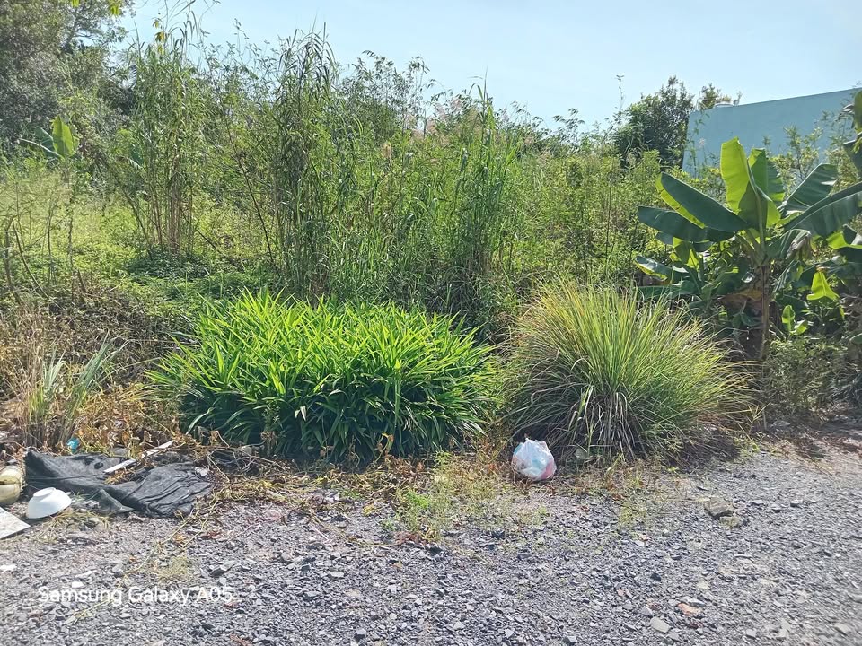 Đất nền Huỳnh Thị Nở Cái Răng 95m² giá 1.19 tỷ - Đầu tư lý tưởng gần trung tâm!