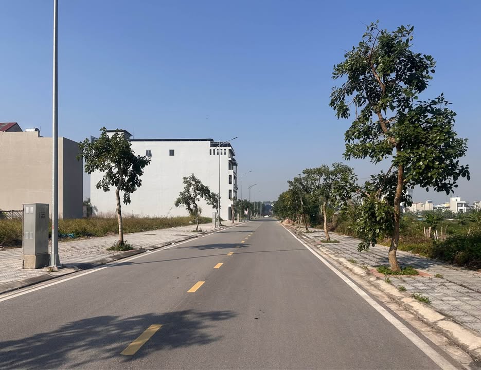 Đất nền Lương Thế Vinh, Nam Định 85m² giá 3.85 tỷ - Cơ hội đầu tư hấp dẫn!