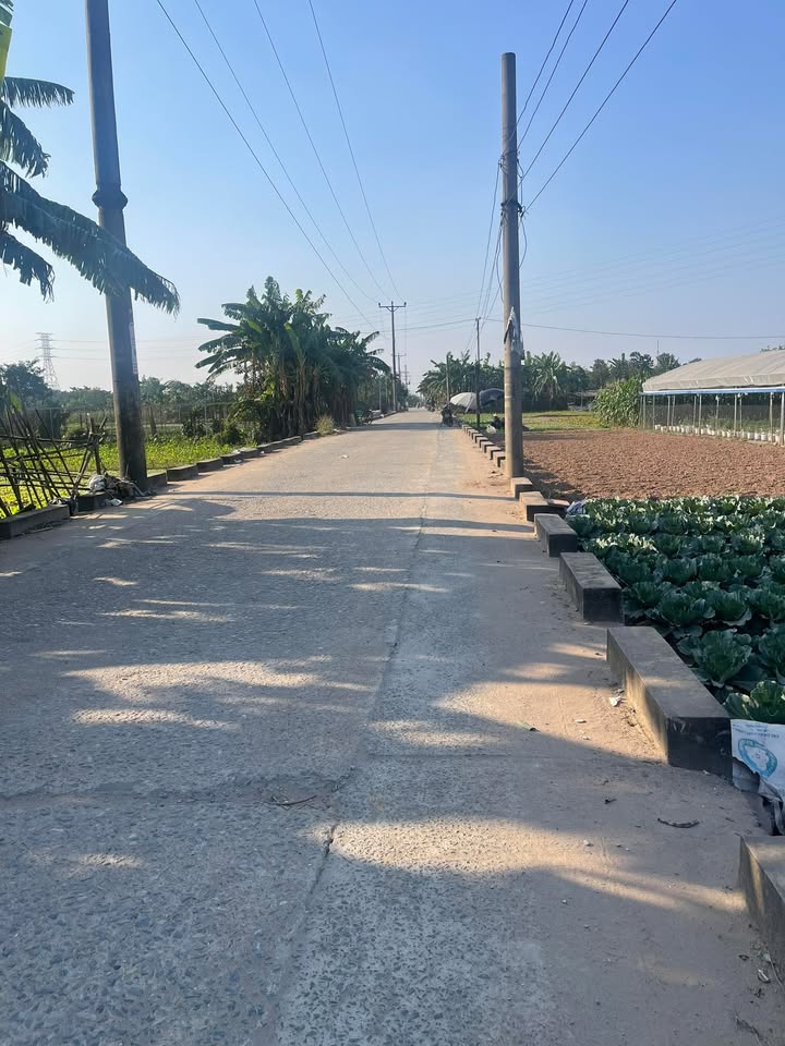 Đất nền Đồng Mai 50m² giá 2 tỷ - Chính chủ cần bán gấp!