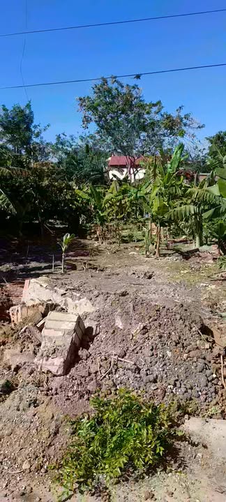 Đất nền Thiệu Chính 186m² giá thỏa thuận - Chính chủ bán nhanh!