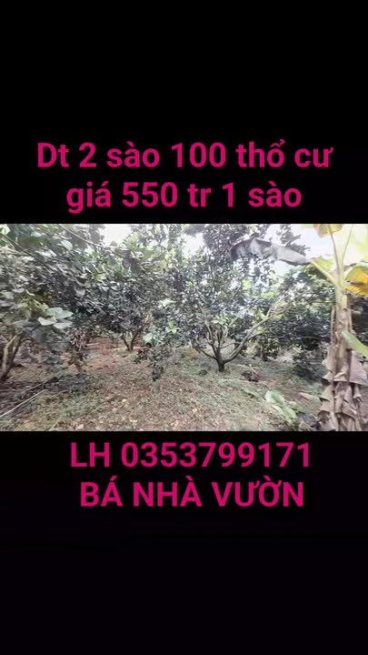 Đất vườn cây ăn trái 7200m² tại Trà Cổ, Tân Phú - Giá 1.1 tỷ, cơ hội đầu tư tuyệt vời!