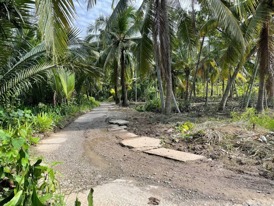 Đất nền Phước Hiệp, Mỏ Cày Nam 630m² giá chỉ 550 triệu - Cơ hội đầu tư tuyệt vời!