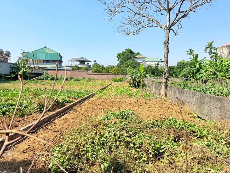 Đất Nền Nhuận Trạch Lương Sơn 206m² giá 2 tỷ - Đầu tư sinh lời ngay!