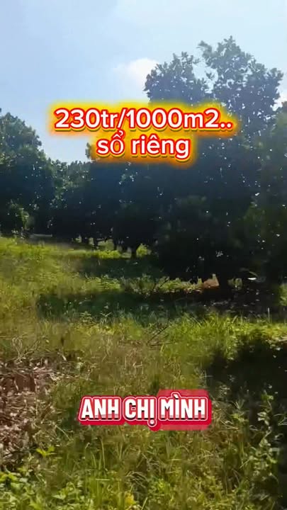 Đất mặt tiền Xuân Bắc, Xuân Lộc 260m² giá chỉ 230 triệu - Cơ hội đầu tư hấp dẫn!