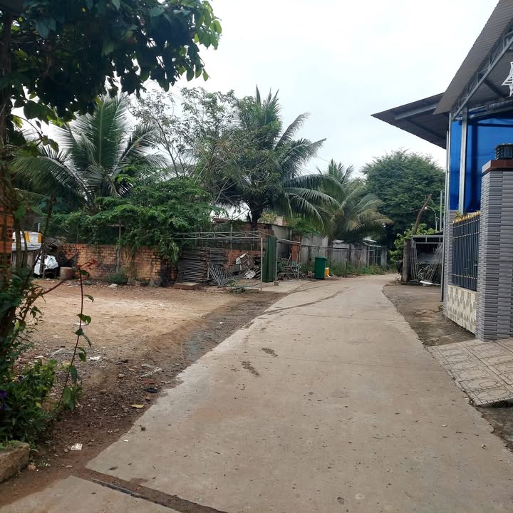 Đất đẹp tại xã Xuân Thành, huyện Xuân Lộc, 133m² giá chỉ 800 triệu - Cơ hội đầu tư tuyệt vời!