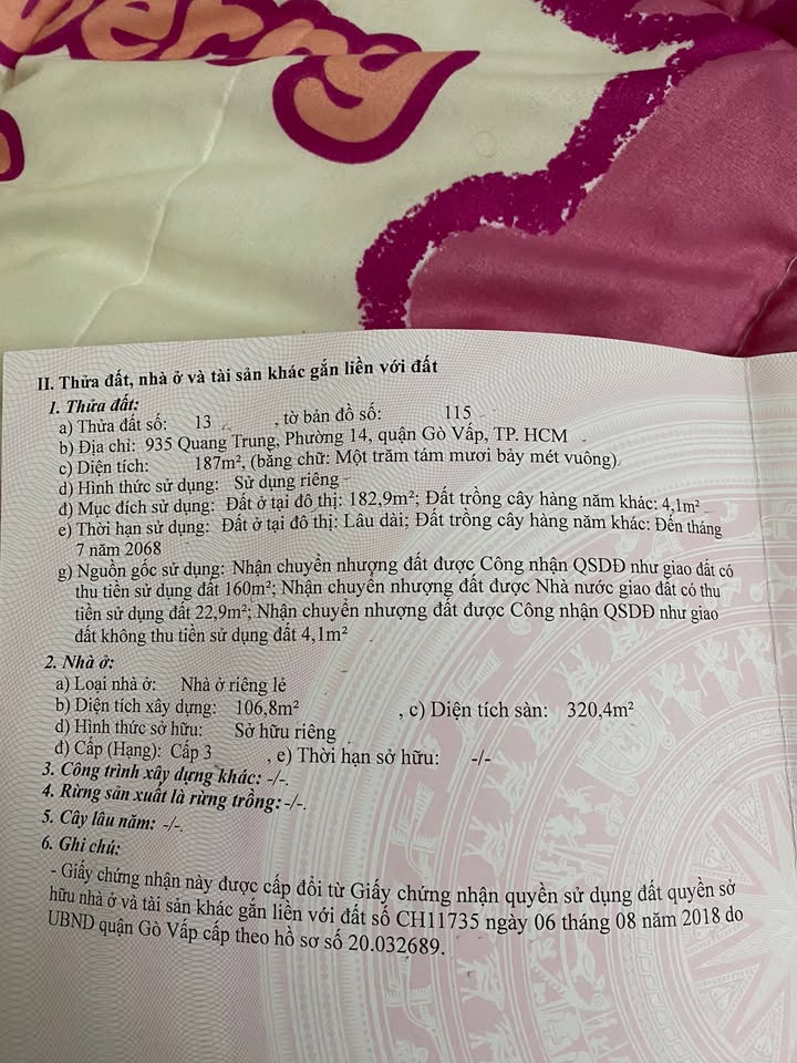 Nhà mặt tiền Gò Vấp 187m² giá 38 tỷ - Kinh doanh sầm uất!