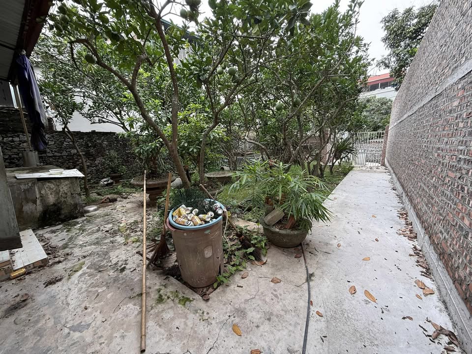 Đất tặng nhà cấp 4 tại Tế Tiêu, Mỹ Đức, Hà Nội 300m² - Giá chỉ 4 tỷ!