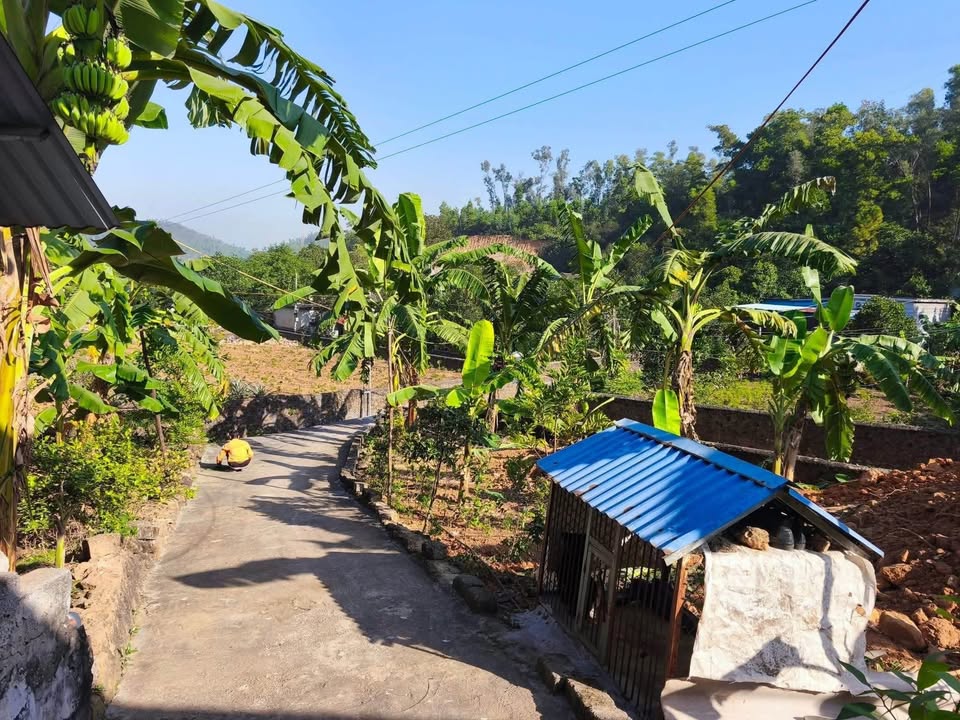 Đất đẹp kèm nhà tại xã Việt Khê, Thủy Nguyên - Diện tích 794m² chỉ 1 tỷ!