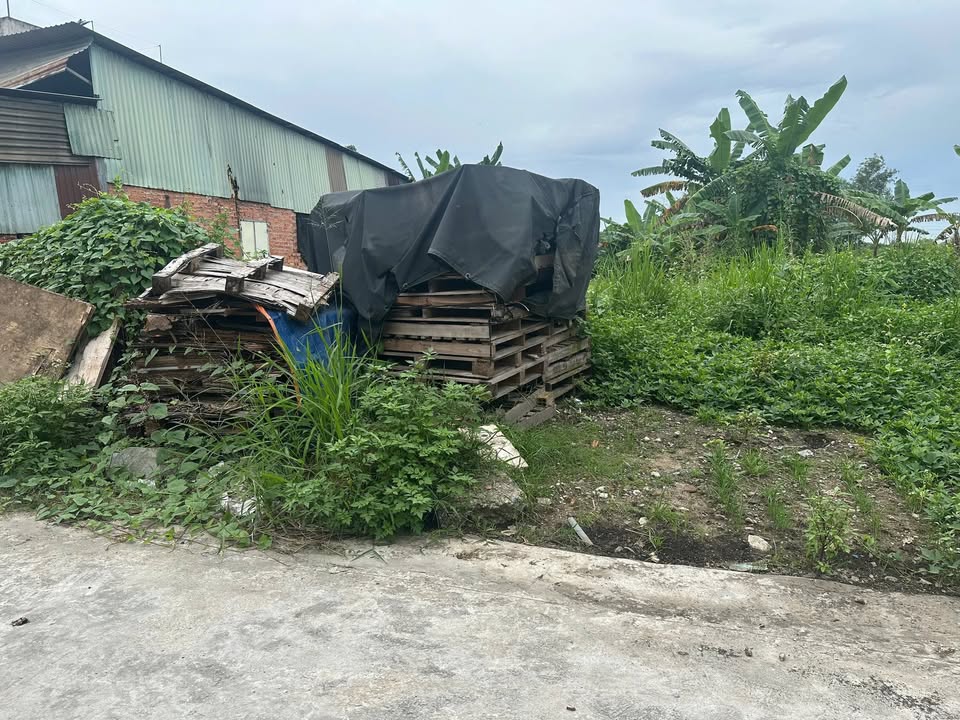 Kho xưởng Dĩ An 500m² giá 6.4 tỷ - Phù hợp xây nhà vườn lý tưởng!