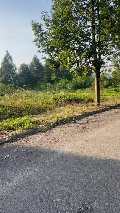 Đất nền Thạch Hòa 100m² giá chỉ 5.2 tỷ - Cơ hội đầu tư không thể bỏ qua!