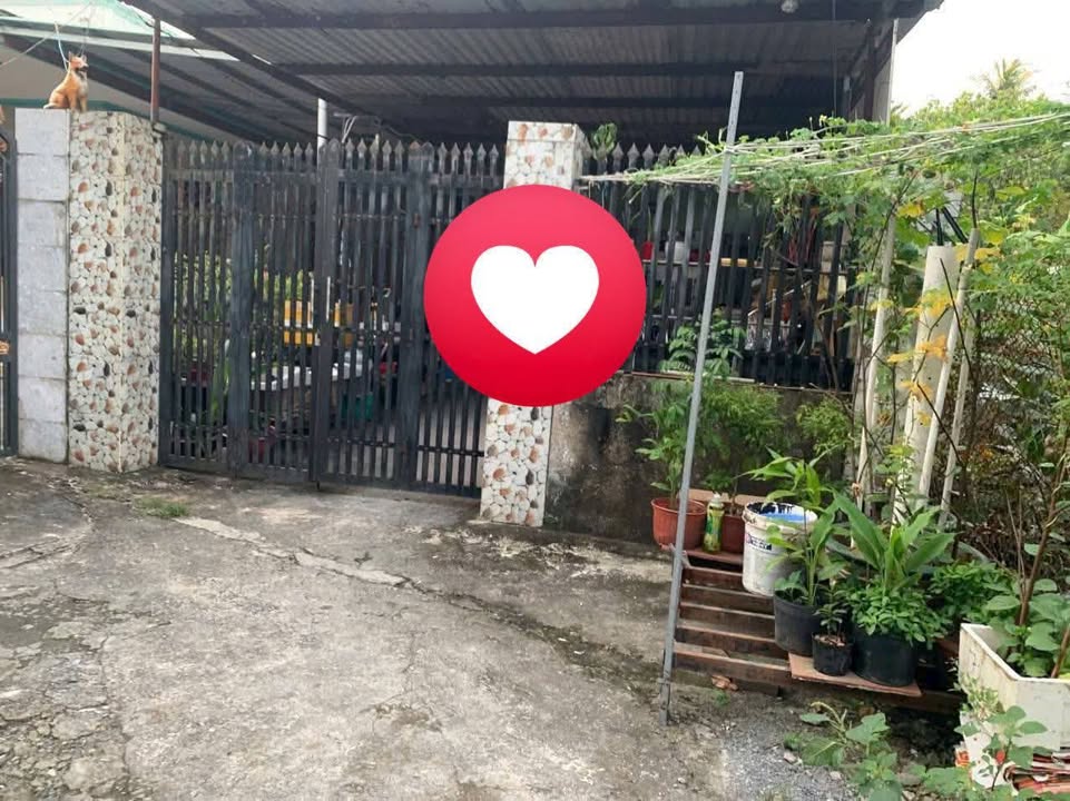 Nhà cấp 4 đường Vĩnh Phú 25, Thuận An 148.5m² giá 4.4 tỷ - Vị trí thuận lợi di chuyển!