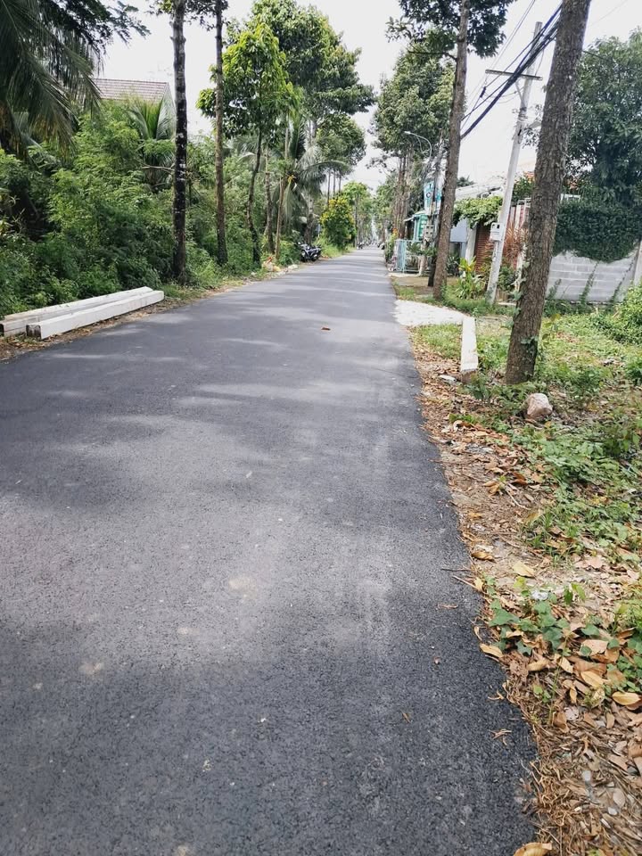 Đất liền kề mặt tiền đường Trần Thi Thơm, Mỹ Phong, Tiền Giang - Đầu tư sinh lời cao!