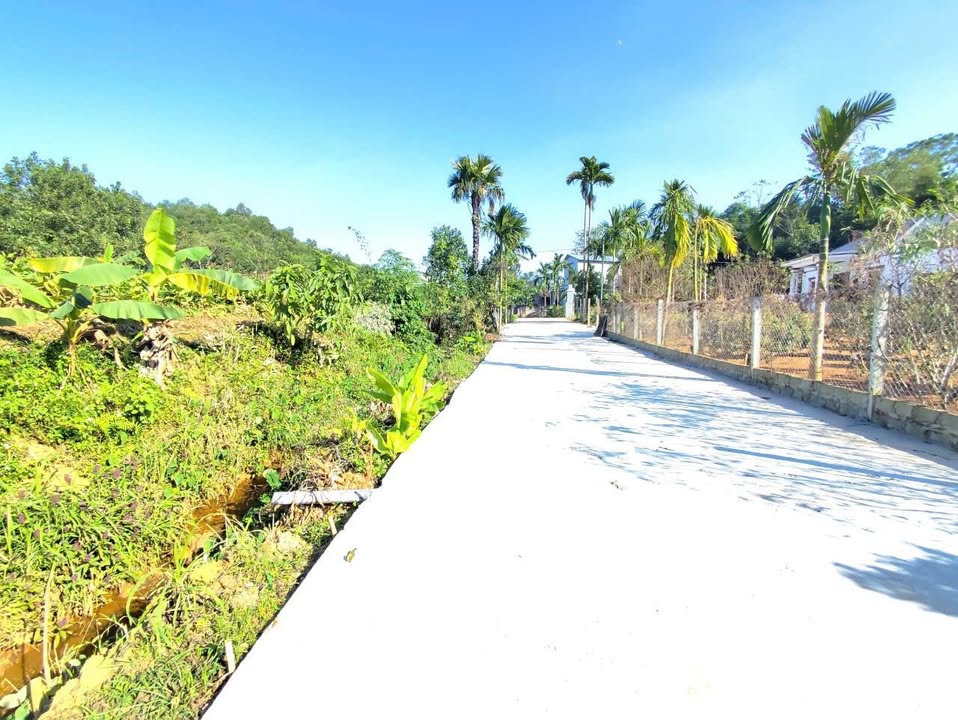 Đất nền Hương Lung Cẩm Khê 120m² giá chỉ 200 triệu - Cơ hội đầu tư tuyệt vời!