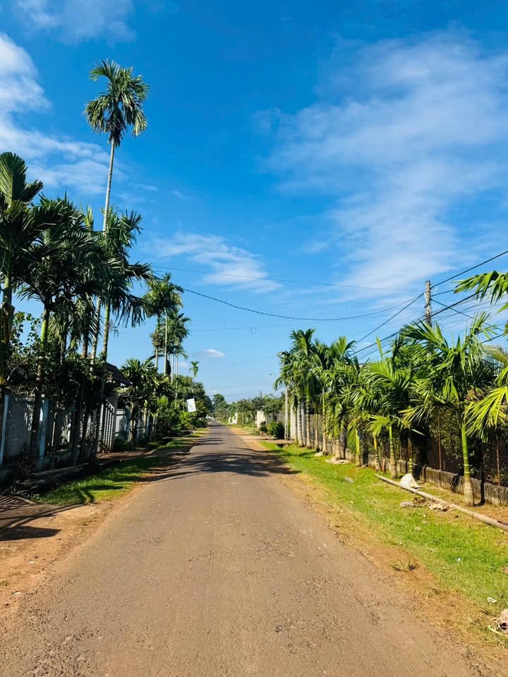 Đất thổ cư Quảng Phú, Cư M'gar 450m² giá 3.2 tỷ - Sổ đỏ chính chủ!