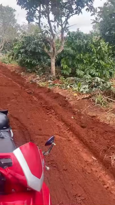 Farm Dliê Yang, Ea H'leo 20000m² giá 1.099 tỷ - Bán gấp giá rẻ ngay hôm nay!