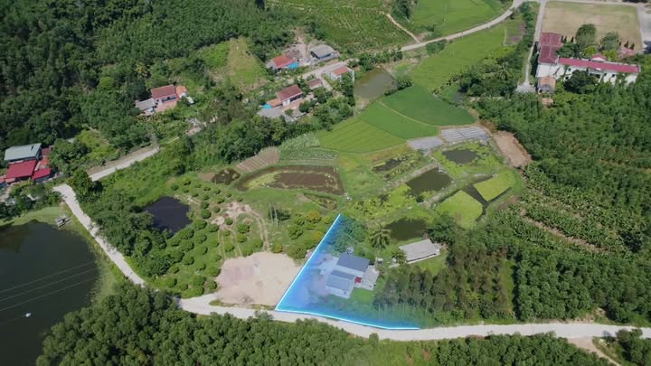 Lô đất vườn Tam Tiến 2000m² giá 1.5 tỷ - Chính chủ bán gấp!