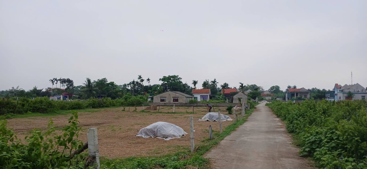 Đất nền Nga Tân, Nga Sơn 200m² giá 700 triệu - Chính chủ bán gấp!