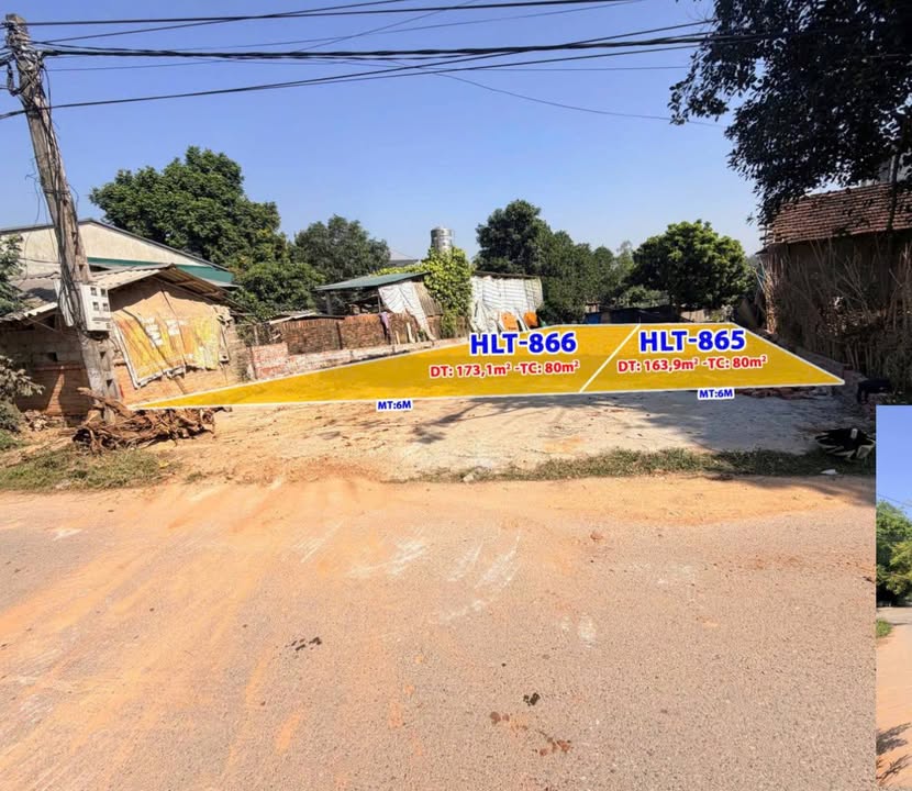 Đất nền Hướng Đạo, Tam Dương 168m² giá chỉ 1.75 tỷ - Cơ hội đầu tư hấp dẫn!