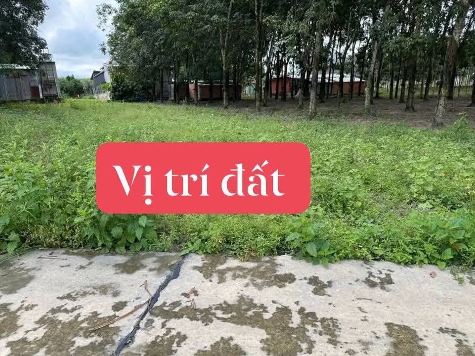 Đất nền 328m² tại Minh Hưng, Chơn Thành - Giá chỉ 500 triệu, vị trí đắc địa!