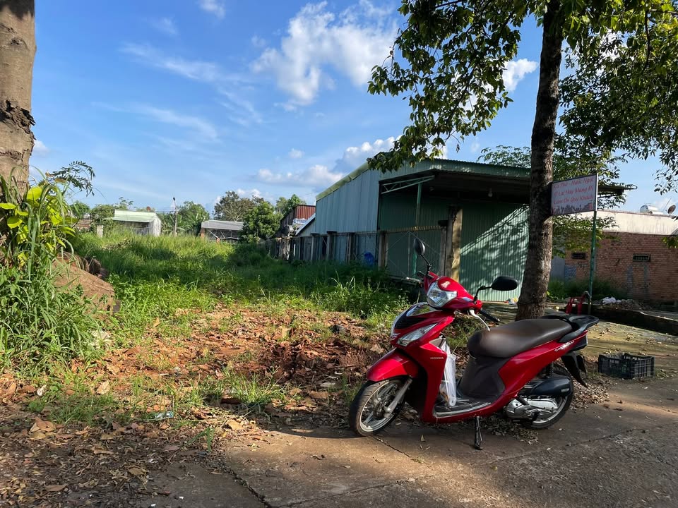 Đất nền mặt tiền đường Nguyễn Du, phường An Lộc, 195m² - Cơ hội đầu tư kinh doanh tuyệt vời!