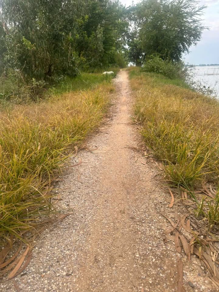 Đất nông nghiệp 31 công tại Tân Công Sính, Tam Nông - Chỉ 3.875 tỷ, Đầu tư sinh lời!