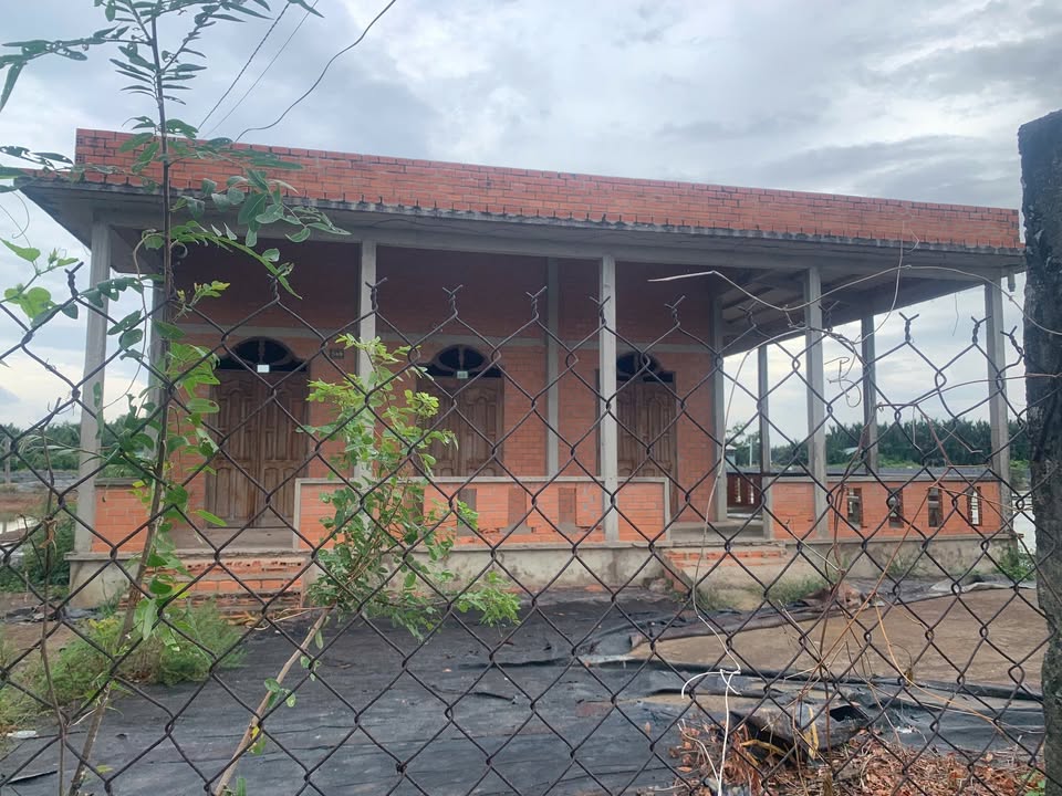 Nhà vườn Lạc Tấn Tân Trụ 1200m² giá 1.7 tỷ - Cơ hội đầu tư tuyệt vời!