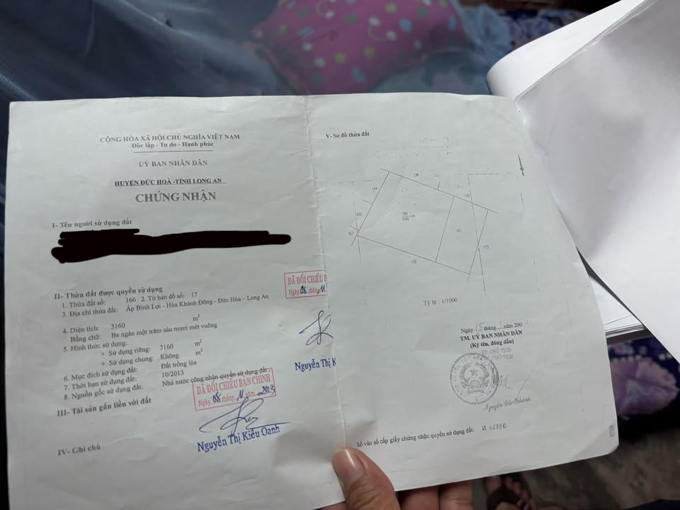 Đất nông nghiệp 1.000m² tại Hòa Khánh Đông, Đức Hòa - Đầu tư sinh lời tốt!