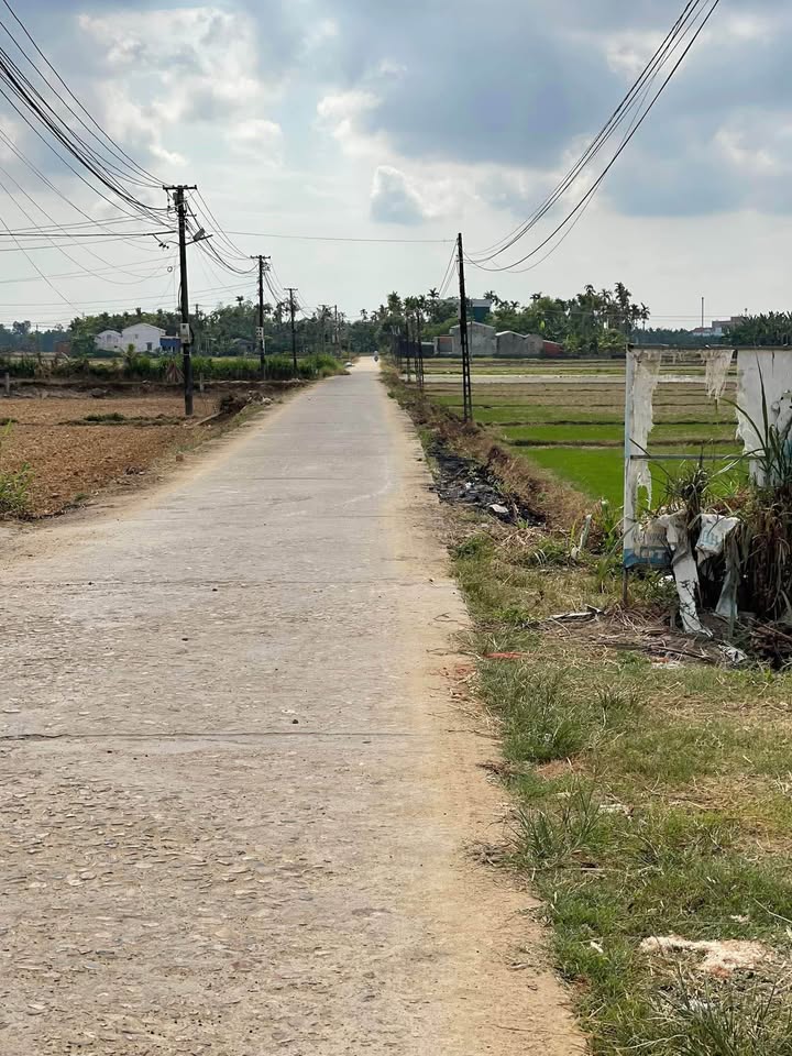 Đất nền Nghĩa Trung Tư Nghĩa 470m² giá 800 triệu - Hướng Nam, đầu tư sinh lời!