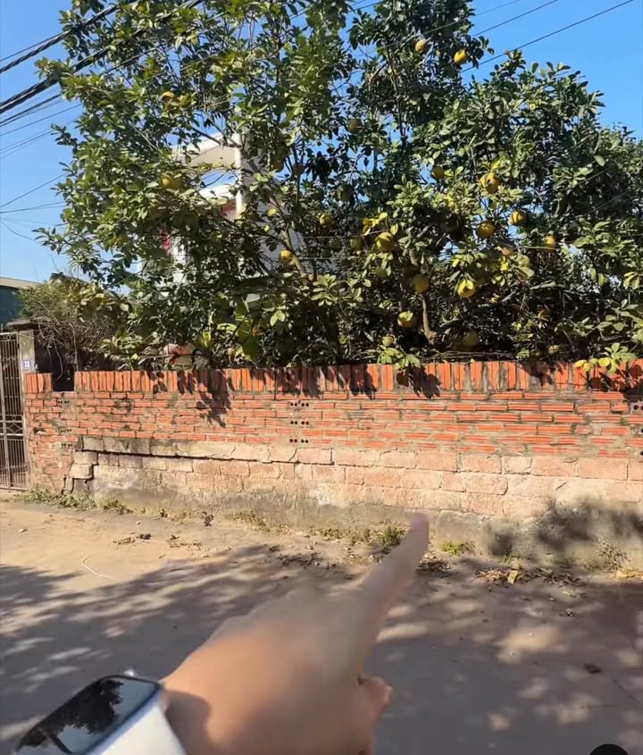 Đất Hát Môn, Phúc Thọ, Hà Nội 99m² giá 4x triệu - Vị trí kinh doanh đắc địa!