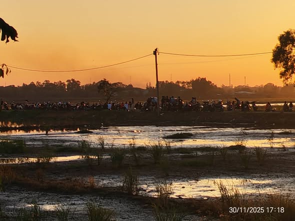 Đất trồng cây 1000m² tại xã Xuân Thới Sơn, Hóc Môn - Tiềm năng đầu tư hấp dẫn!